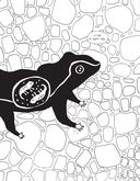 Забавные факты о детёнышах животных в картинках — фото, картинка — 24