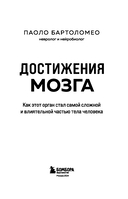 Достижения мозга. Как этот орган стал самой сложной и влиятельной частью тела человека — фото, картинка — 2