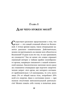 Достижения мозга. Как этот орган стал самой сложной и влиятельной частью тела человека — фото, картинка — 11