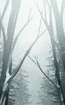 Зайчик — фото, картинка — 7