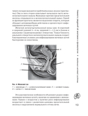Пиелонефрит. Методы диагностики, лечение, профилактика рецидивов — фото, картинка — 14