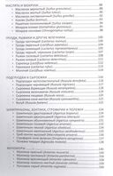 Лекарственные грибы России — фото, картинка — 2