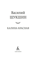 Калина красная — фото, картинка — 1