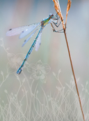 Животные — фото, картинка — 2