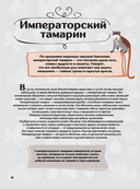 Животные — фото, картинка — 12