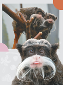 Животные — фото, картинка — 13