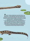 Животные — фото, картинка — 5