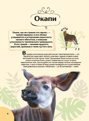 Животные — фото, картинка — 8