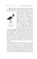 Палеонтология антрополога. Том 2. Мезозой — фото, картинка — 14