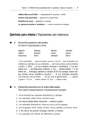 День рождения с тигром. Испанские сказки, солнечные и озорные — фото, картинка — 6