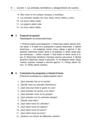 День рождения с тигром. Испанские сказки, солнечные и озорные — фото, картинка — 7