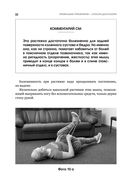 Упражнения для дома и зала: золотая книга. Более 100 практик при болях в спине и суставах — фото, картинка — 30