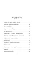 Лекции по русской литературе — фото, картинка — 4