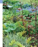 Цветники. 85 лучших композиций — фото, картинка — 18