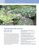 Цветники. 85 лучших композиций — фото, картинка — 19