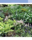 Цветники. 85 лучших композиций — фото, картинка — 20