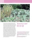 Цветники. 85 лучших композиций — фото, картинка — 21