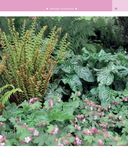 Цветники. 85 лучших композиций — фото, картинка — 22