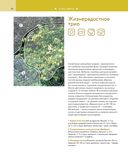 Цветники. 85 лучших композиций — фото, картинка — 23