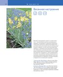 Цветники. 85 лучших композиций — фото, картинка — 25