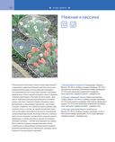 Цветники. 85 лучших композиций — фото, картинка — 27