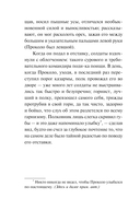 Загадка Cтарого Леса — фото, картинка — 4