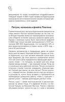 Безымянная — фото, картинка — 40