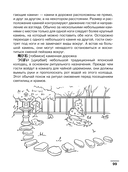 Японский язык: визуальный словарь-раскраска — фото, картинка — 13