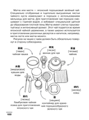 Японский язык: визуальный словарь-раскраска — фото, картинка — 14