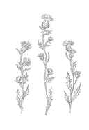 Нарисованная ведьма. Истории о первой любви — фото, картинка — 2