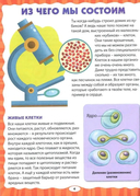 Анатомия для детей. Как устроено твоё тело — фото, картинка — 3