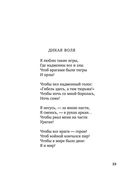 Волшебный фонарь — фото, картинка — 20