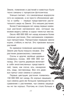 Тайны живой природы — фото, картинка — 11