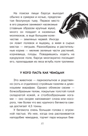 Тайны живой природы — фото, картинка — 15