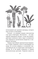 Тайны живой природы — фото, картинка — 10