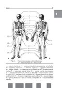 Анатомия человека. Полный компактный атлас — фото, картинка — 6