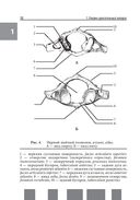 Анатомия человека. Полный компактный атлас — фото, картинка — 9