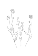 Что скрывает новенький — фото, картинка — 2