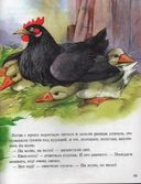 Рассказы о животных малышам — фото, картинка — 6