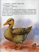 Рассказы о животных малышам — фото, картинка — 7