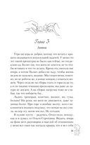 Нетвой — фото, картинка — 20