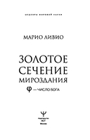 Золотое сечение мироздания. φ – Число Бога — фото, картинка — 5