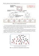 Прогнозное моделирование в IBM SPSS Statistics, R и Python. Метод деревьев решений и случайный лес — фото, картинка — 14