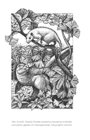 Почему жирафы не стали людьми и другие вопросы эволюции — фото, картинка — 11