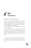 Почему жирафы не стали людьми и другие вопросы эволюции — фото, картинка — 7