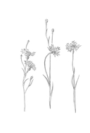 Челлендж, или Мишка_на _Севере — фото, картинка — 2