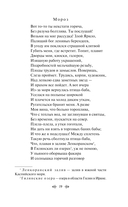 Снегурочка. О мимолётности жизни — фото, картинка — 17