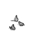 Мелодия для короля — фото, картинка — 1