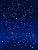 Животные-целители — фото, картинка — 4