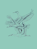 Животные-целители — фото, картинка — 6